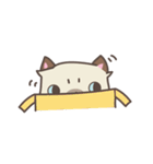 Almond the naughty cat（個別スタンプ：21）