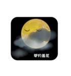 Mr.Moon and Moon Festival（個別スタンプ：15）