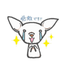 日常で使えるチワワスタンプ（個別スタンプ：5）