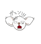 日常で使えるチワワスタンプ（個別スタンプ：18）