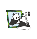 パンダー イン ザ ダーク（個別スタンプ：7）