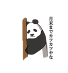パンダー イン ザ ダーク（個別スタンプ：9）