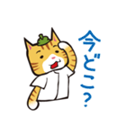 路地裏ねこ・タビィさん（個別スタンプ：9）