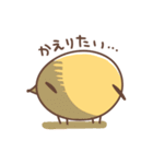 もちぽよわんこ。（個別スタンプ：14）