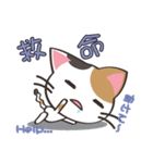 八百万の猫々 ～日本語・中国語・英語～（個別スタンプ：34）