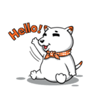 Hootang The Dog : Hello！！（個別スタンプ：1）