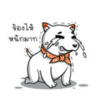 Hootang The Dog : Hello！！（個別スタンプ：6）