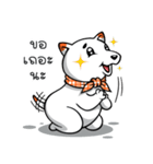 Hootang The Dog : Hello！！（個別スタンプ：11）