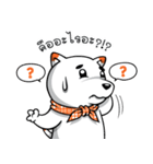 Hootang The Dog : Hello！！（個別スタンプ：16）