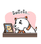 Hootang The Dog : Hello！！（個別スタンプ：32）