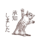 アクロバティックねこ 2（個別スタンプ：5）