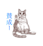 アクロバティックねこ 2（個別スタンプ：7）