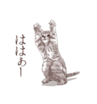 アクロバティックねこ 2（個別スタンプ：9）