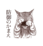 アクロバティックねこ 2（個別スタンプ：16）