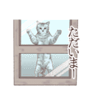 アクロバティックねこ 2（個別スタンプ：24）