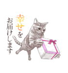 アクロバティックねこ 2（個別スタンプ：27）