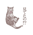 アクロバティックねこ 2（個別スタンプ：31）