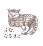 アクロバティックねこ 2（個別スタンプ：32）