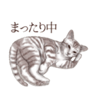 アクロバティックねこ 2（個別スタンプ：34）