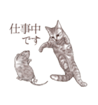 アクロバティックねこ 2（個別スタンプ：35）