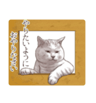 アクロバティックねこ 2（個別スタンプ：40）