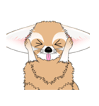 小さくてカワイイ耳の [フェネックキツネ]（個別スタンプ：4）
