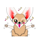 小さくてカワイイ耳の [フェネックキツネ]（個別スタンプ：11）