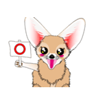 小さくてカワイイ耳の [フェネックキツネ]（個別スタンプ：19）
