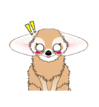 小さくてカワイイ耳の [フェネックキツネ]（個別スタンプ：29）