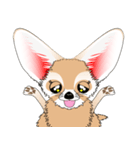 小さくてカワイイ耳の [フェネックキツネ]（個別スタンプ：37）