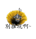 the warrior-Jun（個別スタンプ：22）