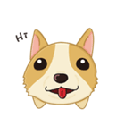 Corgi 007（個別スタンプ：1）