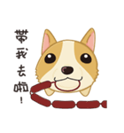 Corgi 007（個別スタンプ：2）