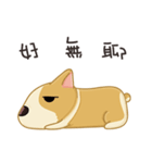 Corgi 007（個別スタンプ：4）