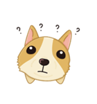 Corgi 007（個別スタンプ：6）