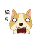 Corgi 007（個別スタンプ：7）