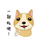 Corgi 007（個別スタンプ：8）