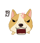 Corgi 007（個別スタンプ：12）