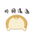 Corgi 007（個別スタンプ：13）