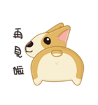 Corgi 007（個別スタンプ：14）