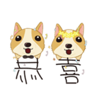 Corgi 007（個別スタンプ：15）