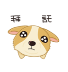 Corgi 007（個別スタンプ：19）