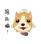 Corgi 007（個別スタンプ：20）