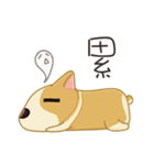 Corgi 007（個別スタンプ：21）