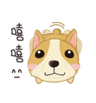 Corgi 007（個別スタンプ：22）