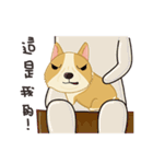 Corgi 007（個別スタンプ：24）