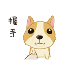 Corgi 007（個別スタンプ：25）