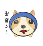 Corgi 007（個別スタンプ：28）