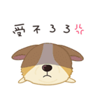 Corgi 007（個別スタンプ：30）