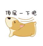 Corgi 007（個別スタンプ：31）